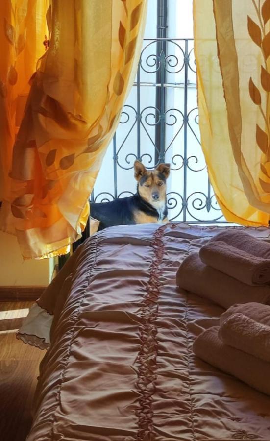 La Casetta Della Nonna Caramanico Terme Exterior foto